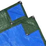 vidaXL Plandeka przeciwdeszczowa 2x10 m PE 100g/m2, zielono-niebieska