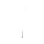 Proplus Antenne 16V 40 Cm Zwart proplus kopen in de aanbieding Proplus Antenne 16V 40 Cm Zwart proplus kopen in de aanbieding