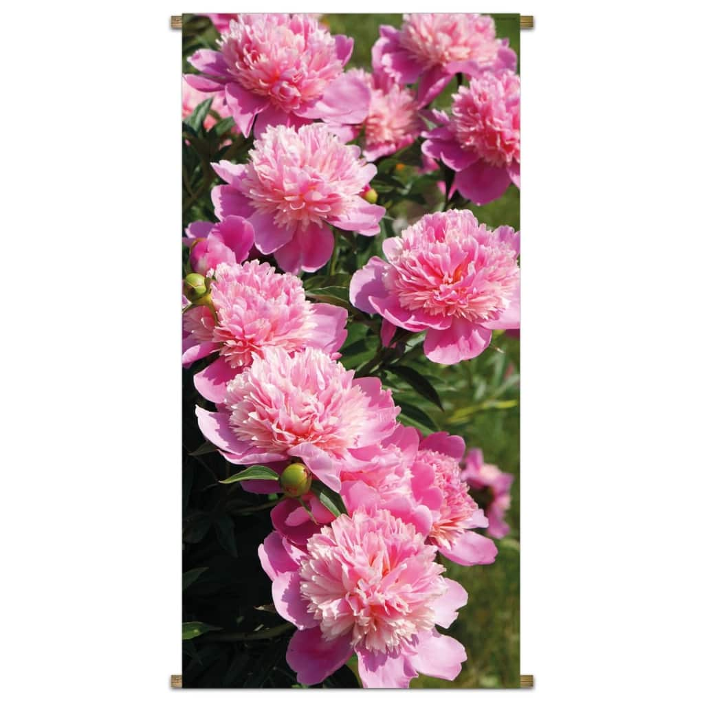 Banner Peony Light rose 85x170cm PB-Collection