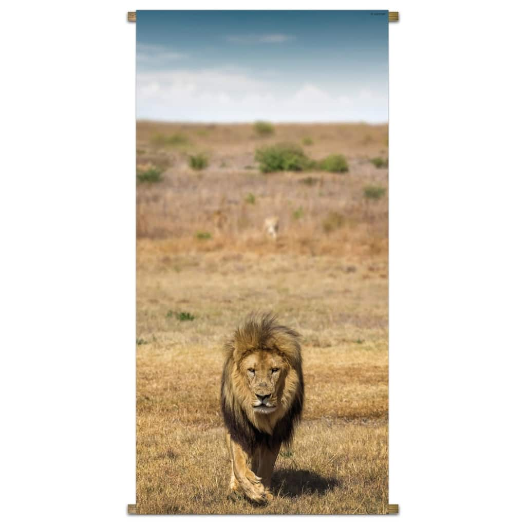 Banner Africa Wild Lion 85x170cm PB-Collection