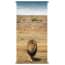 Pbcollection Banner Africa Wild Lion 85X170Cm pbcollection kopen in de aanbieding