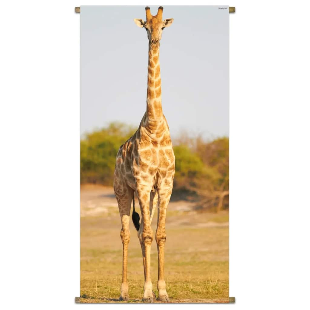 Banner Africa Wild Giraffe 85x170cm PB-Collection