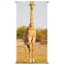 Pbcollection Banner Africa Wild Giraffe 85X170Cm pbcollection kopen in de aanbieding