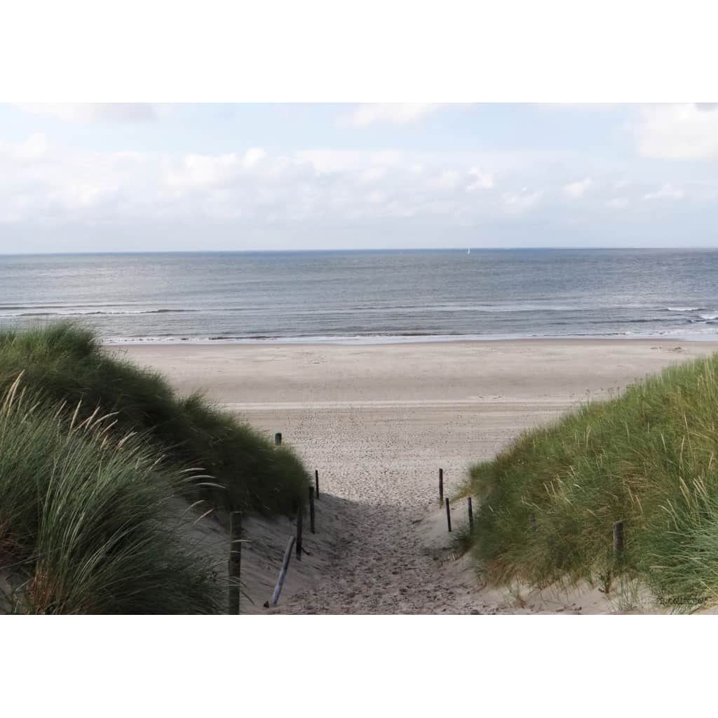 Tuinschilderij Dune Path to sea 70x130cm PB-Collection