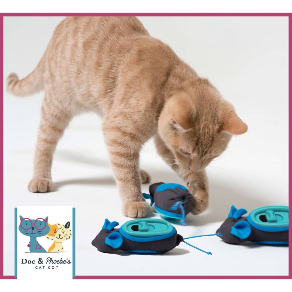 Doc & Phoebe's Indoor Hunting Cat Feeder - Kattenvoerbak - 20 x 23 x 5.3 cm Grijs Blauw