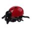 Toitoys Toi Toys Insectenauto Pull Back Lieveheersbeestje 45 Cm Roodzwart toitoys kopen in de aanbieding