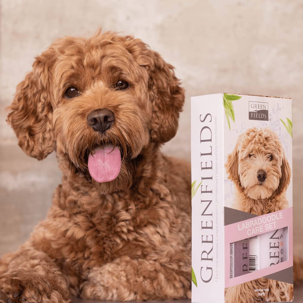 Greenfields Shampoing et spray pour chiens Labradoodle 2x250 ml