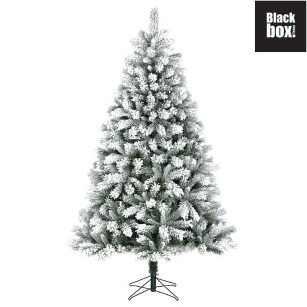 Afbeelding Black Box Trees - Chandler kerstboom frosted, groen - h305xd170cm door Vidaxl.nl