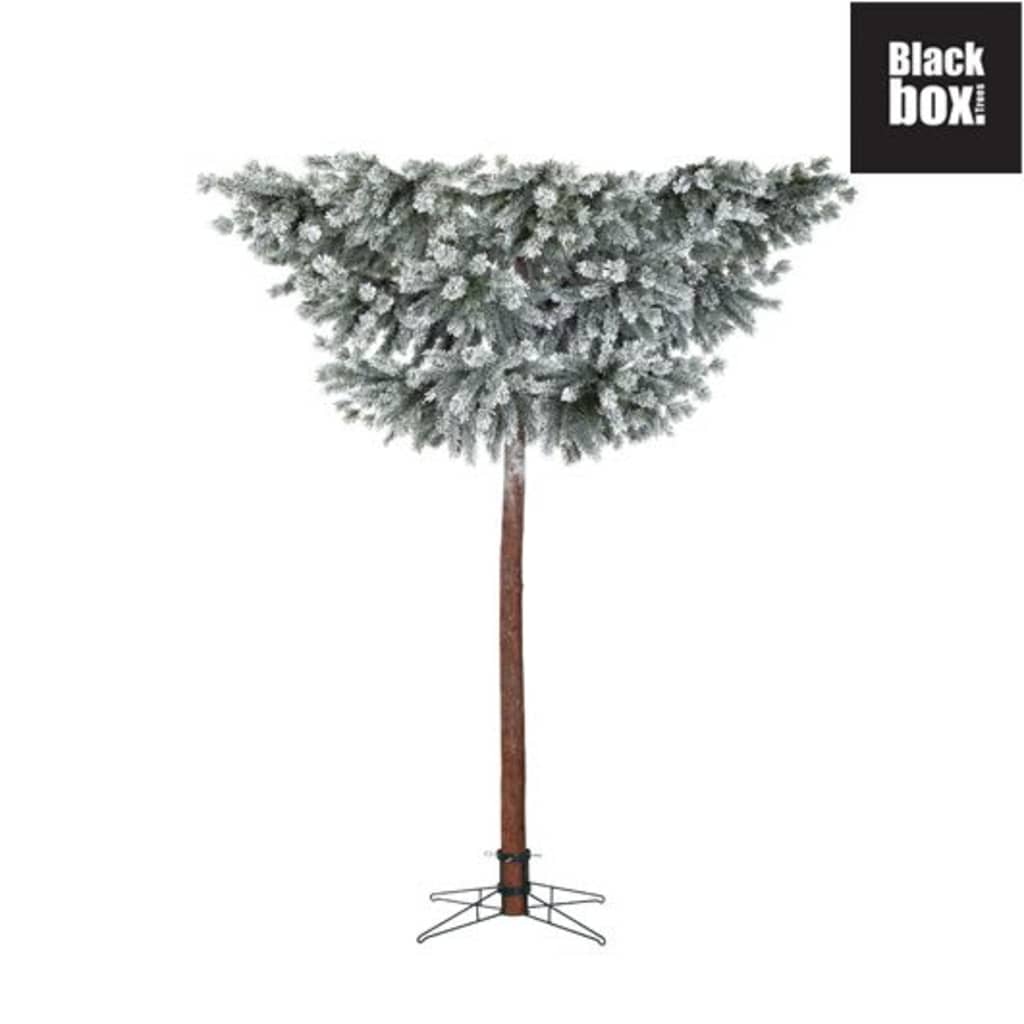 Black Box Trees - Lexington kerstboom wit - h215xd200cm