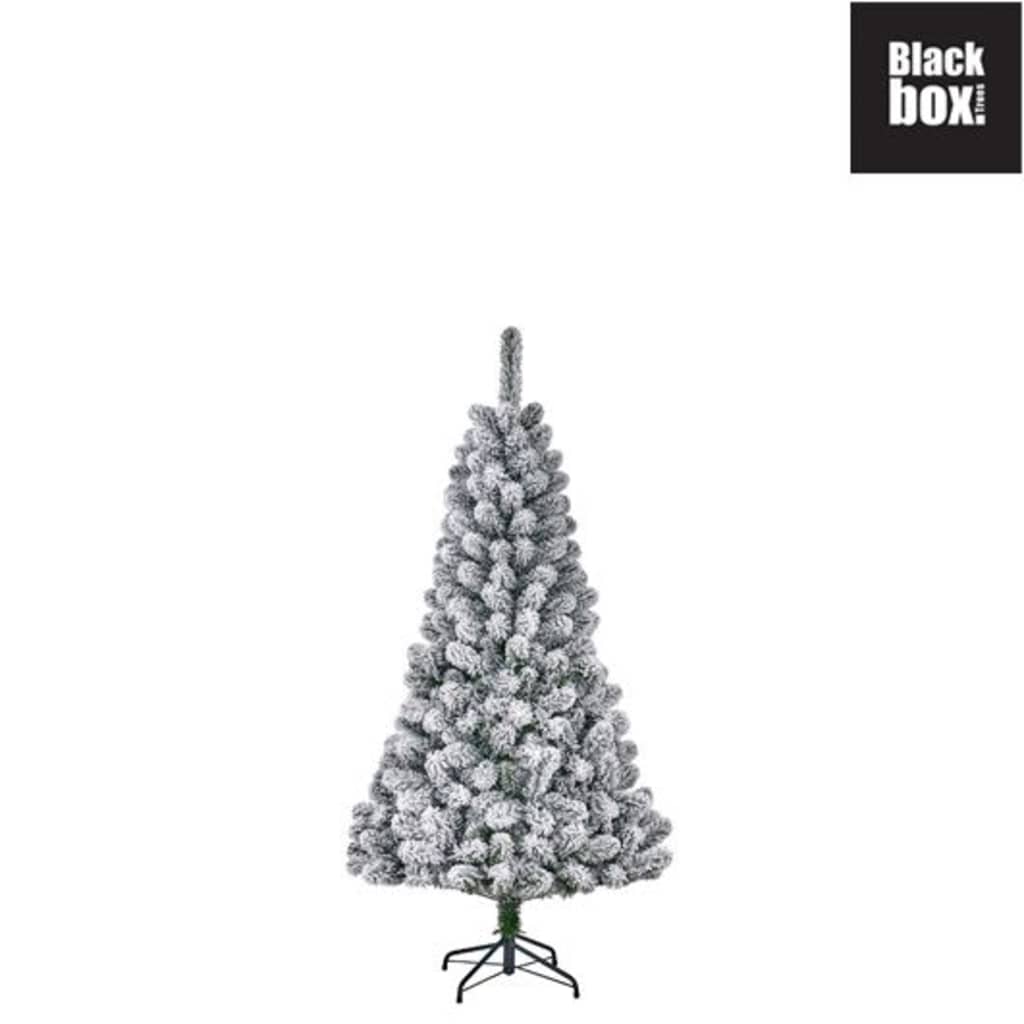 Afbeelding Black Box Trees - Millington kerstboom frosted, groen - h120xd71cm door Vidaxl.nl