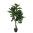 Mica Decorations Ficus Lyrata In Plastic Pot Maat In Cm 120 X 60 mica decorations kopen in de aanbieding