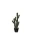 Mica Decorations Cactus In Plastic Pot Maat In Cm 23 X 18 X 71Cm mica decorations kopen in de aanbieding Mica Decorations Cactus In Plastic Pot Maat In Cm 23 X 18 X 71Cm mica decorations kopen in de aanbieding
