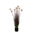 Mica Decorations Allium In Plastic Pot Mauve Maat In Cm 116 X 17 mica decorations kopen in de aanbieding Mica Decorations Allium In Plastic Pot Mauve Maat In Cm 116 X 17 mica decorations kopen in de aanbieding