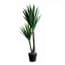 Mica Decorations Yucca In Plastic Pot Maat In Cm 120 X 70 mica decorations kopen in de aanbieding