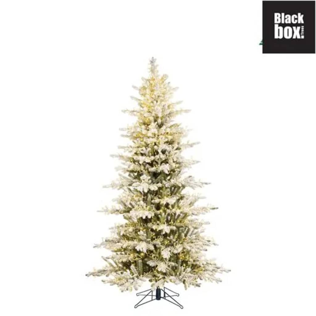 Black Box Trees - Montane kerstboom frosted, groen LED - h185xd117cm