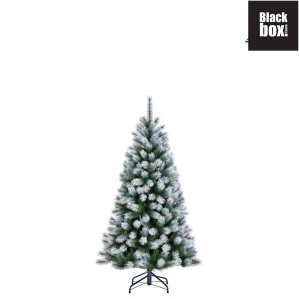 Afbeelding Black Box Trees - Kingston kerstboom frosted, groen - h120xd71cm door Vidaxl.nl