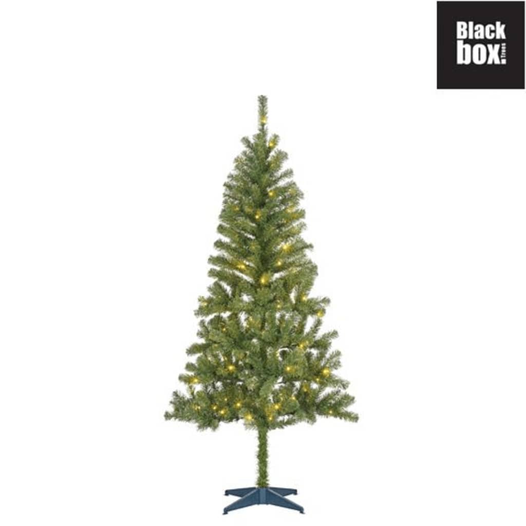 Black Box Trees - Dale kerstboom groen LED - h185xd93cm