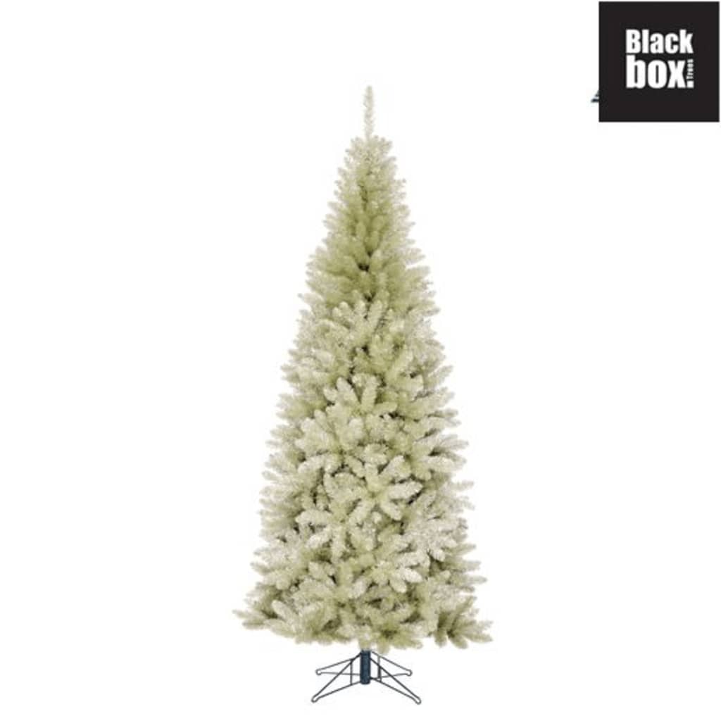 Black Box Trees - Colchester kerstboom platinum - h215xd94cm
