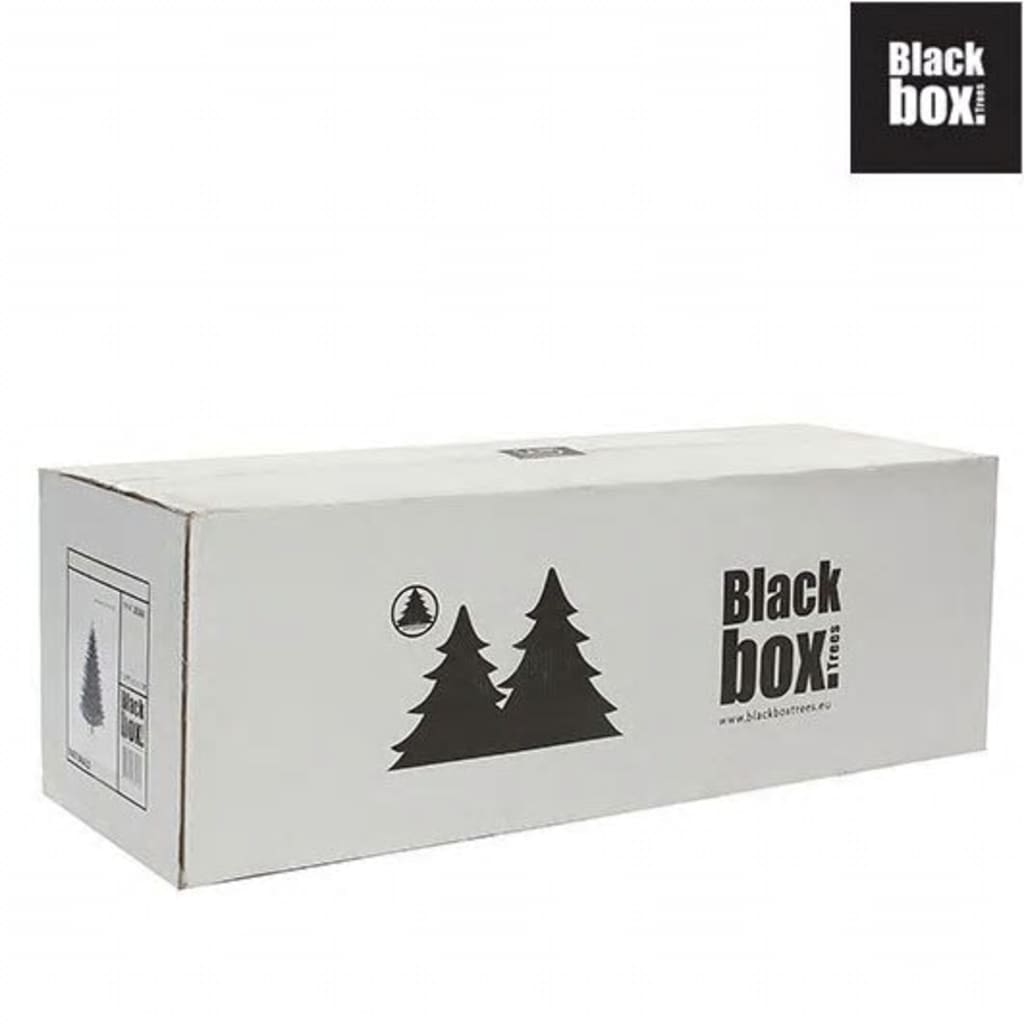 Black Box Trees - kerstboom wit - 29 cm