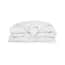 Snoozing Mont Blanc Donzen Dekbed Dons 2 Persoons 200X200 Cm snoozing kopen in de aanbieding Snoozing Mont Blanc Donzen Dekbed Dons 2 Persoons 200X200 Cm snoozing kopen in de aanbieding