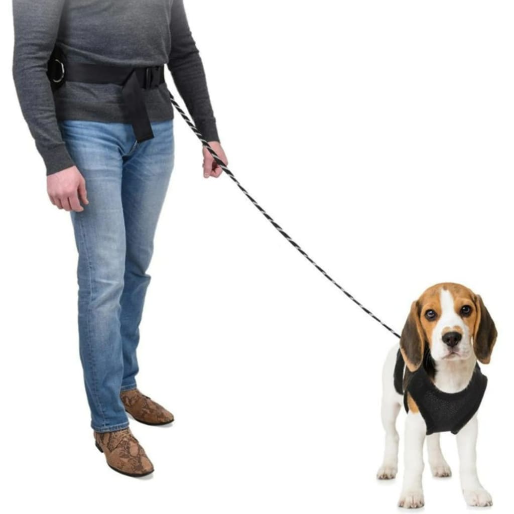 

Pets Collection Hondenlijn met heupband groot zwart