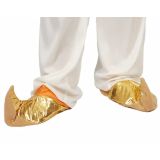 Aladdin Schoenen