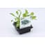 2 Stuks Rucola Groente Plant Set 4 Tuin Op Tafel tuin op tafel kopen in de aanbieding 2 Stuks Rucola Groente Plant Set 4 Tuin Op Tafel tuin op tafel kopen in de aanbieding