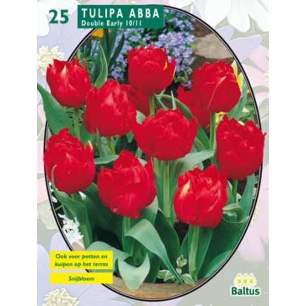 Afbeelding Baltus 2 stuks Tulipa Dubbel Vroeg Abba per 25 door Vidaxl.nl