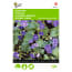 Buzzy 2 Stuks Phacelia Bijenvoer buzzy kopen in de aanbieding