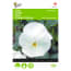 Buzzy 2 Stuks Viola Viool Mont Blanc Zwitserse Reuzen buzzy kopen in de aanbieding Buzzy 2 Stuks Viola Viool Mont Blanc Zwitserse Reuzen buzzy kopen in de aanbieding