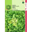 Hortitops 2 Stuks Andijvie Nummer Vijf 2 hortitops kopen in de aanbieding Hortitops 2 Stuks Andijvie Nummer Vijf 2 hortitops kopen in de aanbieding