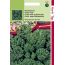 Hortitops 2 Stuks Boerenkool Westlandse Herfst Laat Type hortitops kopen in de aanbieding Hortitops 2 Stuks Boerenkool Westlandse Herfst Laat Type hortitops kopen in de aanbieding