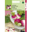 Hortitops 2 Stuks Rapen Ronde Witte Roodkop Nancy hortitops kopen in de aanbieding Hortitops 2 Stuks Rapen Ronde Witte Roodkop Nancy hortitops kopen in de aanbieding