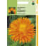 Hortitops 2 Stuks Calendula Officinalis Dubbelbl Ball S Oranje hortitops kopen in de aanbieding