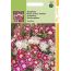 Hortitops 2 Stuks Phlox Cuspidata Compacta Twinkle Gem hortitops kopen in de aanbieding