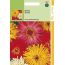 Hortitops 2 Stuks Ht Zinnia Chrysanthbloemig Gemengd hortitops kopen in de aanbieding Hortitops 2 Stuks Ht Zinnia Chrysanthbloemig Gemengd hortitops kopen in de aanbieding