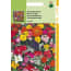 Hortitops 2 Stuks Ht Zomerbloemen Gemengd hortitops kopen in de aanbieding Hortitops 2 Stuks Ht Zomerbloemen Gemengd hortitops kopen in de aanbieding