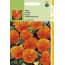 Hortitops 2 Stuks Ht Viola Viool Oranjezon hortitops kopen in de aanbieding Hortitops 2 Stuks Ht Viola Viool Oranjezon hortitops kopen in de aanbieding