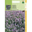 Hortitops 2 Stuks Aubrietia Hybrida Grflwhitewell Gem hortitops kopen in de aanbieding