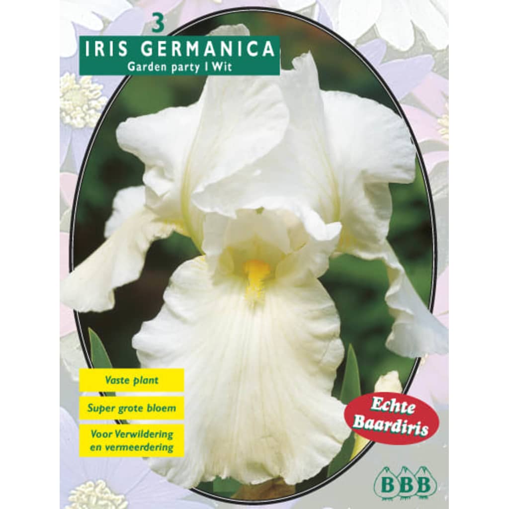 Baltus 2 stuks Iris Germanica Wit per 3