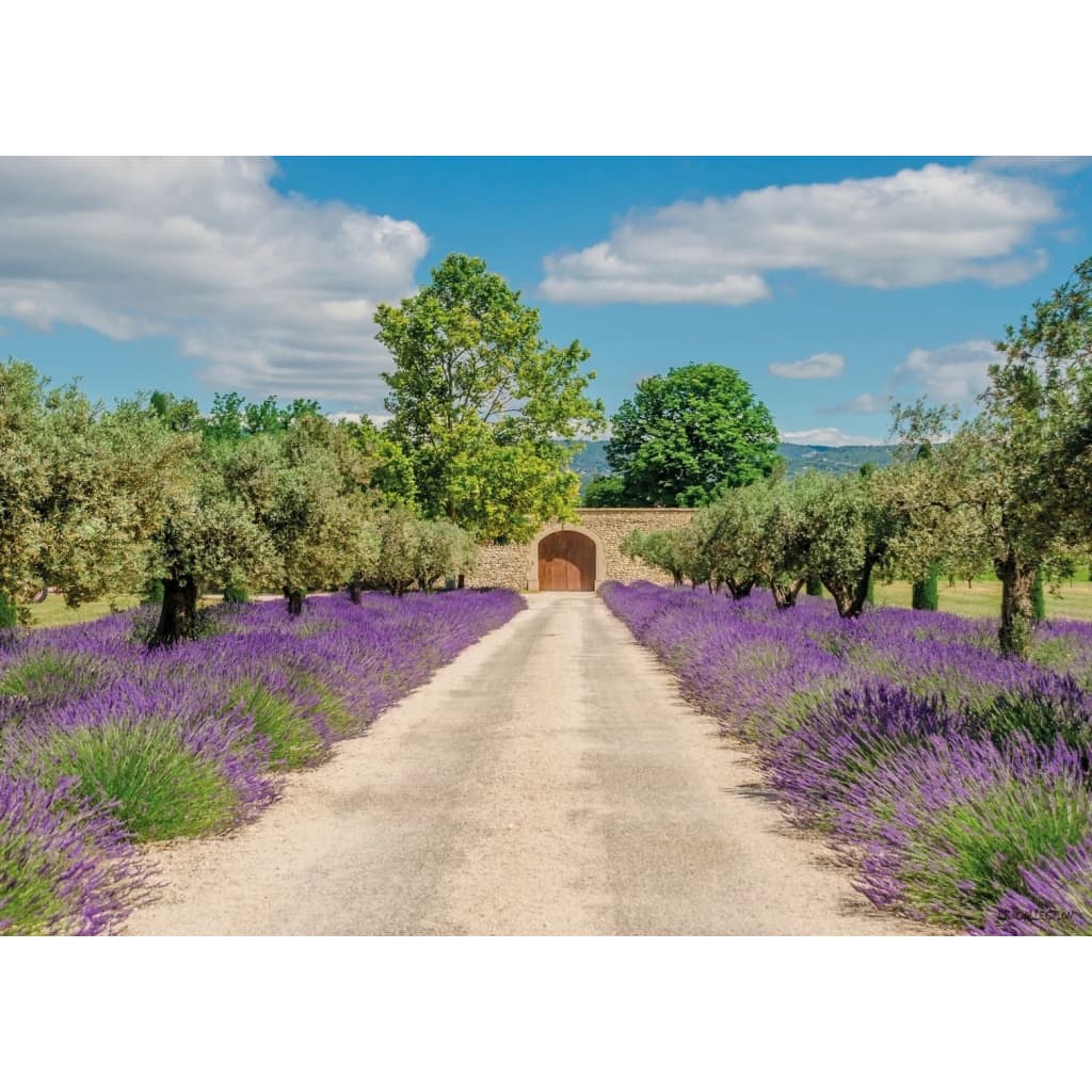 Pbcollection Pb Collection 2 Stuks Tuinschilderij Lavender View With Door 50X70Cm pbcollection kopen in de aanbieding Pbcollection Pb Collection 2 Stuks Tuinschilderij Lavender View With Door 50X70Cm pbcollection kopen in de aanbieding