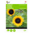 Buzzy 5 Stuks Helianthus Zonnebloem Sunrich Orange F1 buzzy kopen in de aanbieding