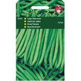 5 stuks Stamslabonen Kylian (vh Allure)