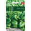 Tuinplus 5 Stuks Spinazie Campania F1 50 Gram tuinplus kopen in de aanbieding Tuinplus 5 Stuks Spinazie Campania F1 50 Gram tuinplus kopen in de aanbieding