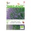 Buzzy 5 Stuks Organic Echte Lavendel Bio buzzy kopen in de aanbieding Buzzy 5 Stuks Organic Echte Lavendel Bio buzzy kopen in de aanbieding
