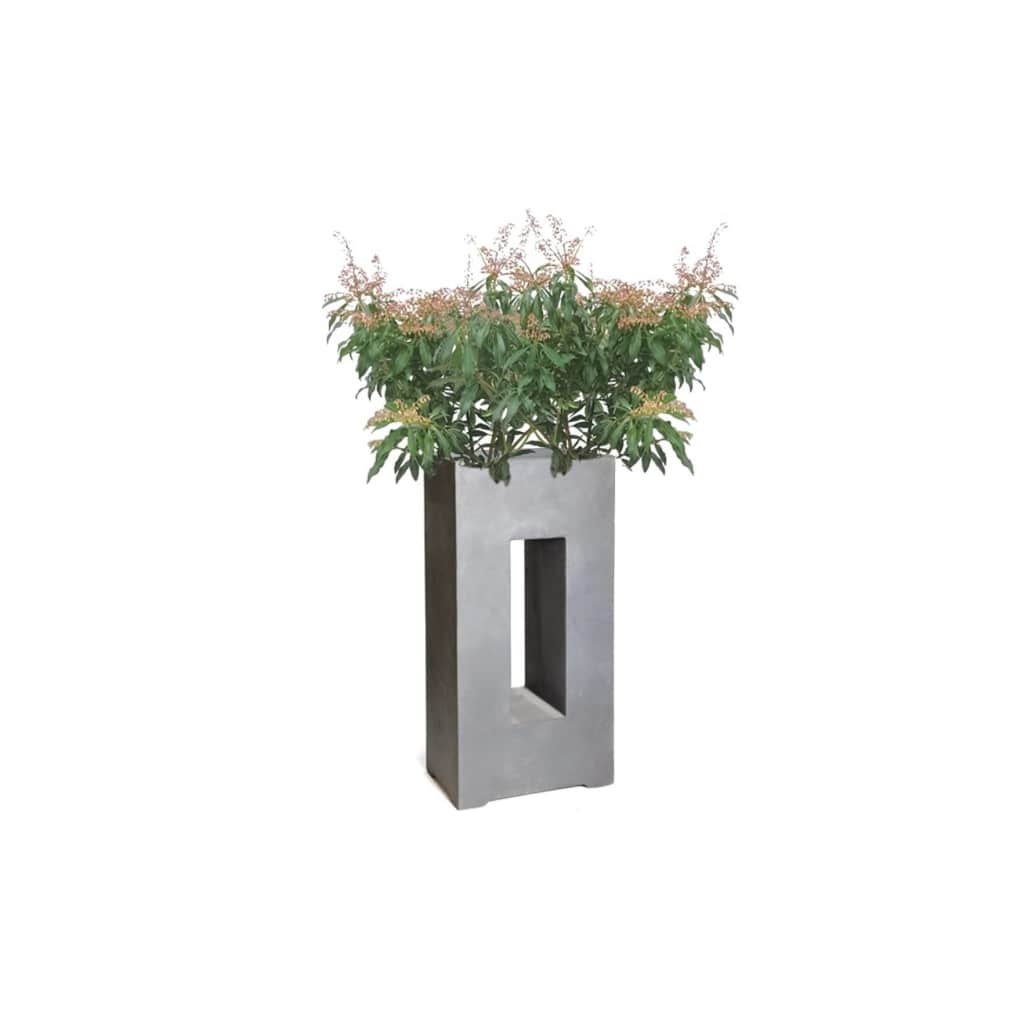 Pieris 40 cm in pot MC Light Partition Window Lead L45W27H96 2 planten Warentuin Natuurlijk