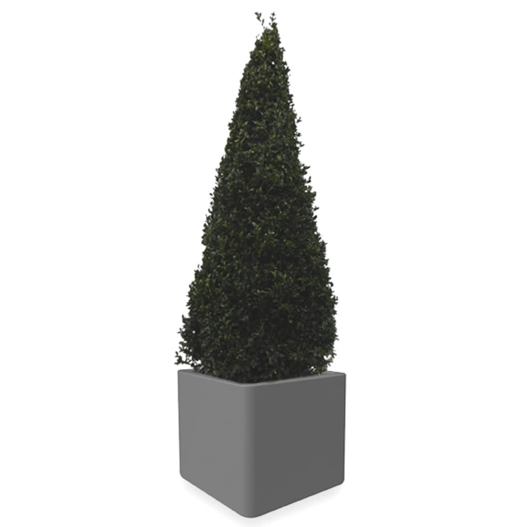 Buxus Piramide 120 cm in pot Pure Soft brick wheels 40 antraciet Elho Warentuin Natuurlijk