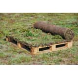 Minimaal 75 stuks afnemen, Minimaal 75 stuks! Sedummixmat Compleet