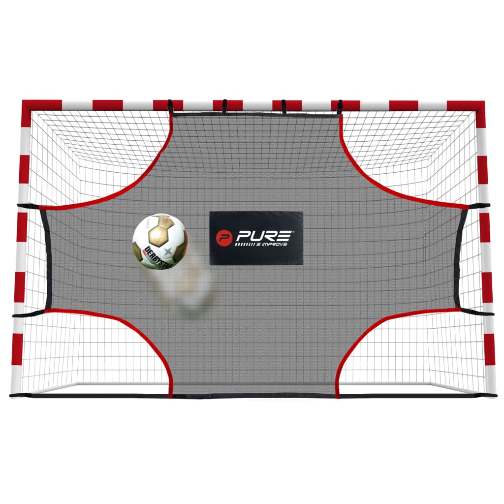 

Pure2Improve Indoor Trainingsnet 275x185 cm PE