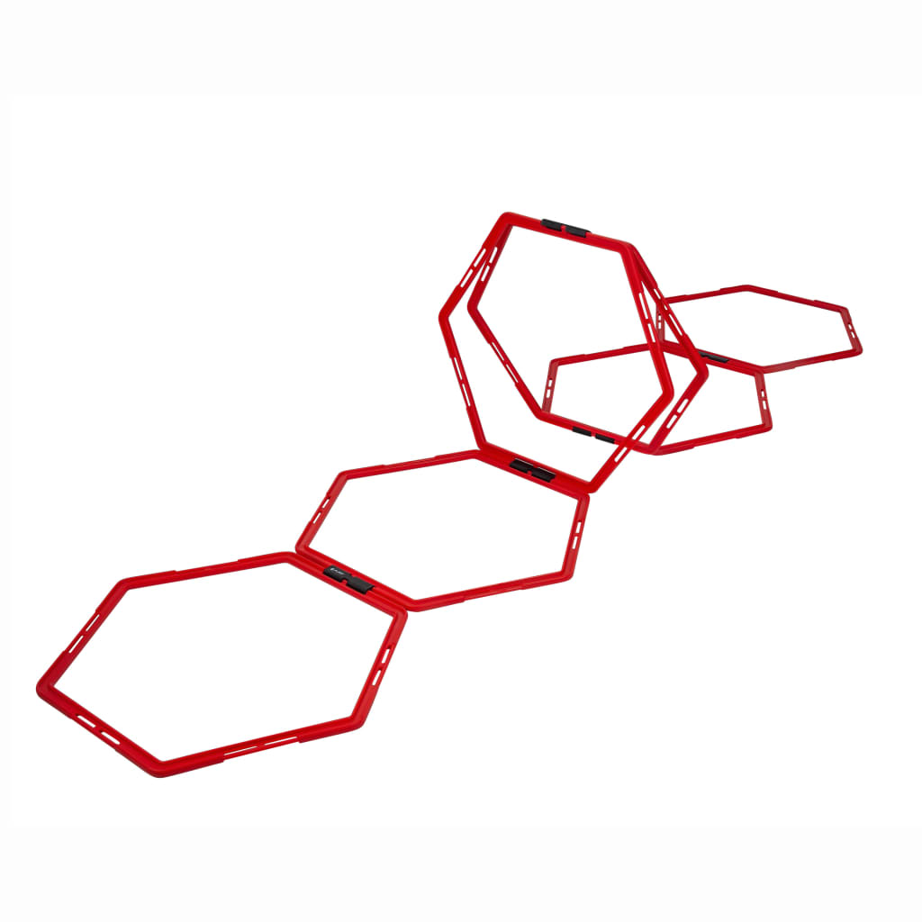 Pure2Improve Hexagon Koordinationsgitter 6 Stk. Rot